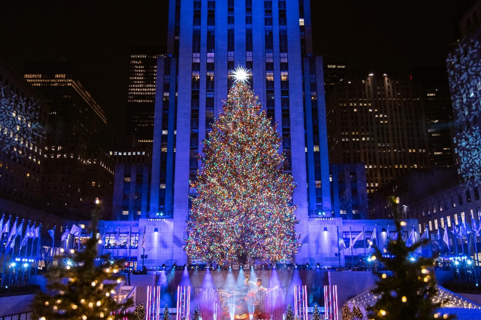 christmas trees with lights