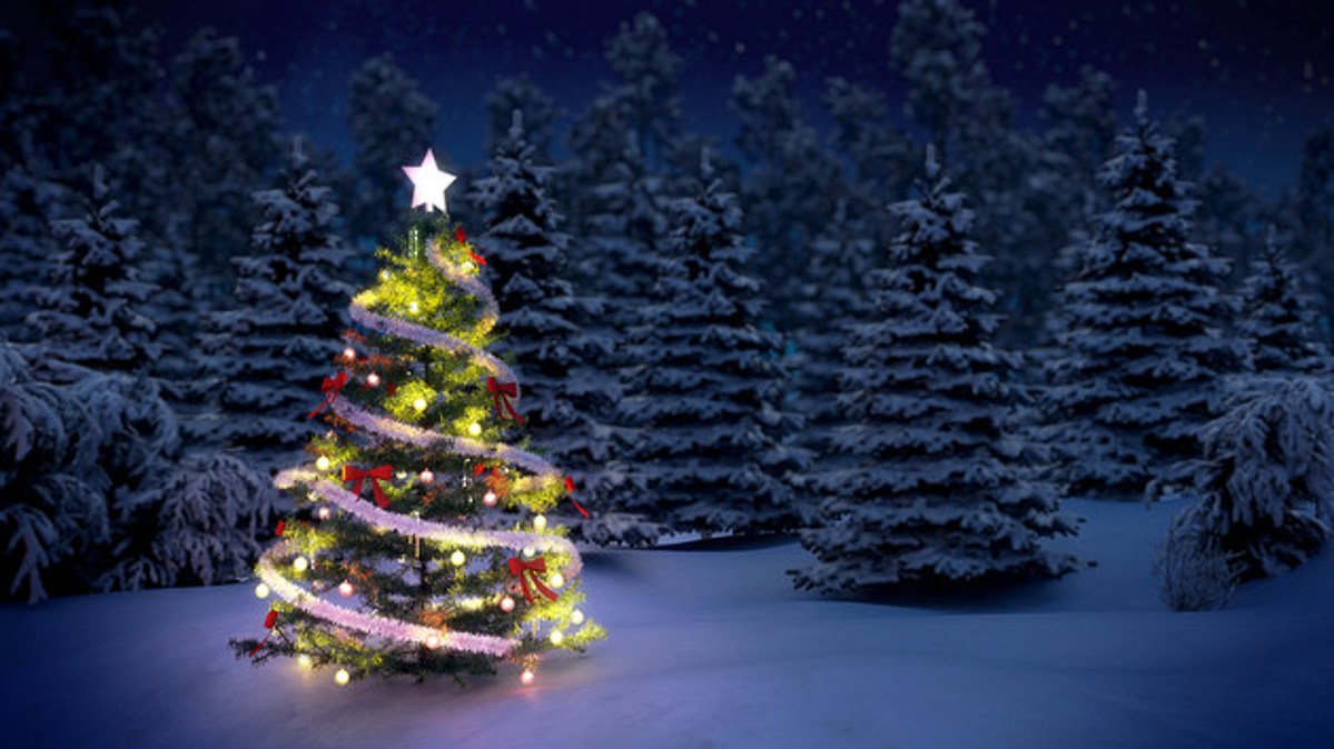 BALSAM HILL CHRISTMAS TREE